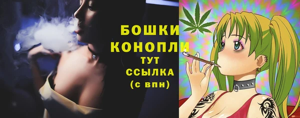 PSILOCYBIN Касимов