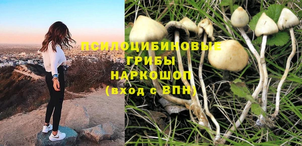 spice Карталы